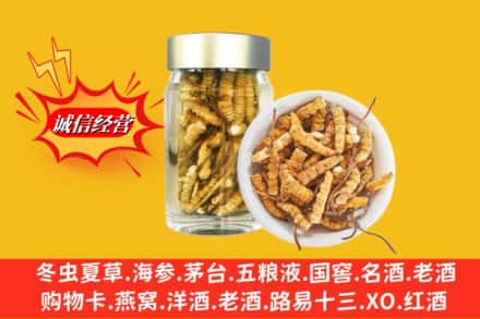 泾县回收散虫草